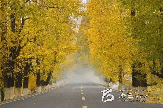 康定新都橋，有一條黃金大道通往夢中的天堂