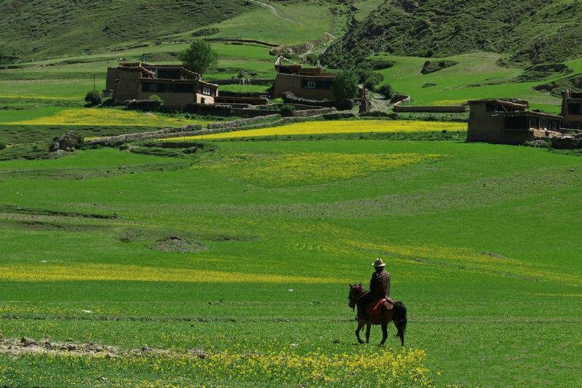 阿須草原.jpg 阿須草原.jpg