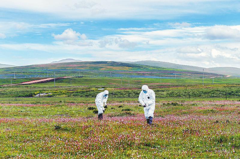 石渠縣國家級.jpg 石渠縣國家級.jpg