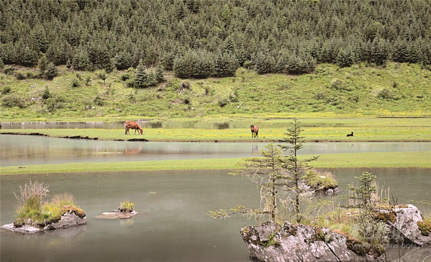 去甘孜 邂逅絕美湖泊海子！