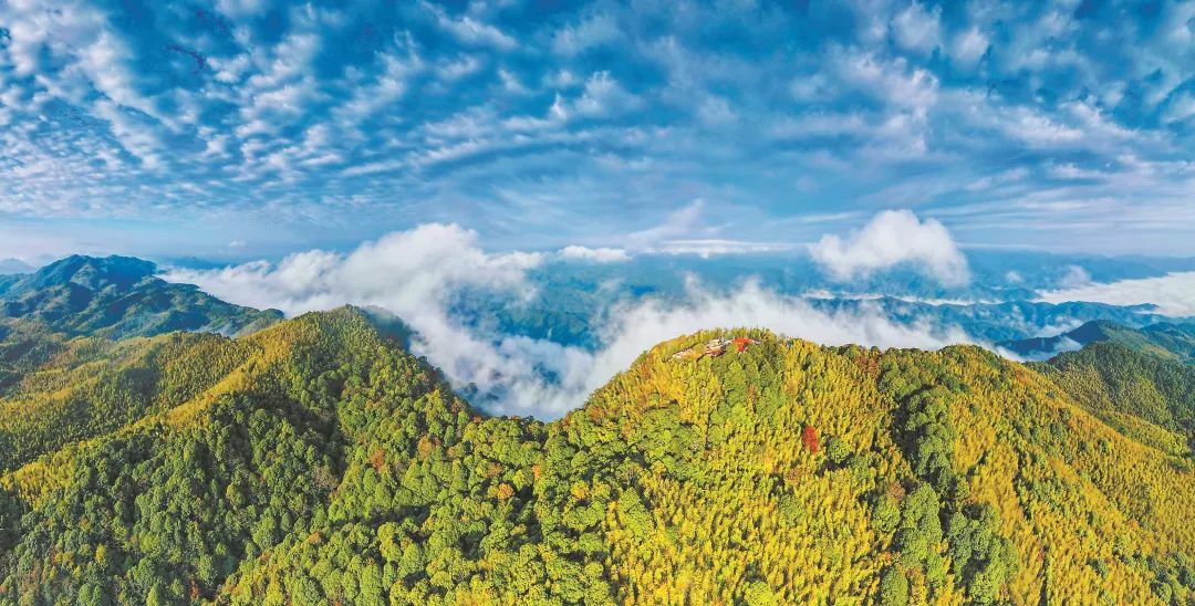 　三明森林生態(tài)環(huán)境優(yōu)美。